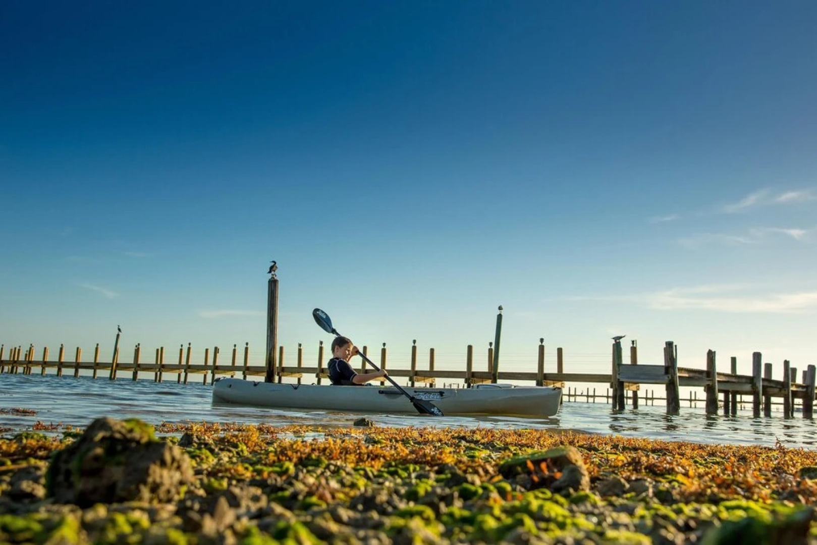 The Caribbean Resort Jamaican Palm House