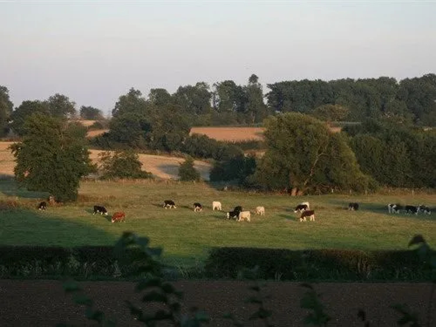 Red House Farm B&B