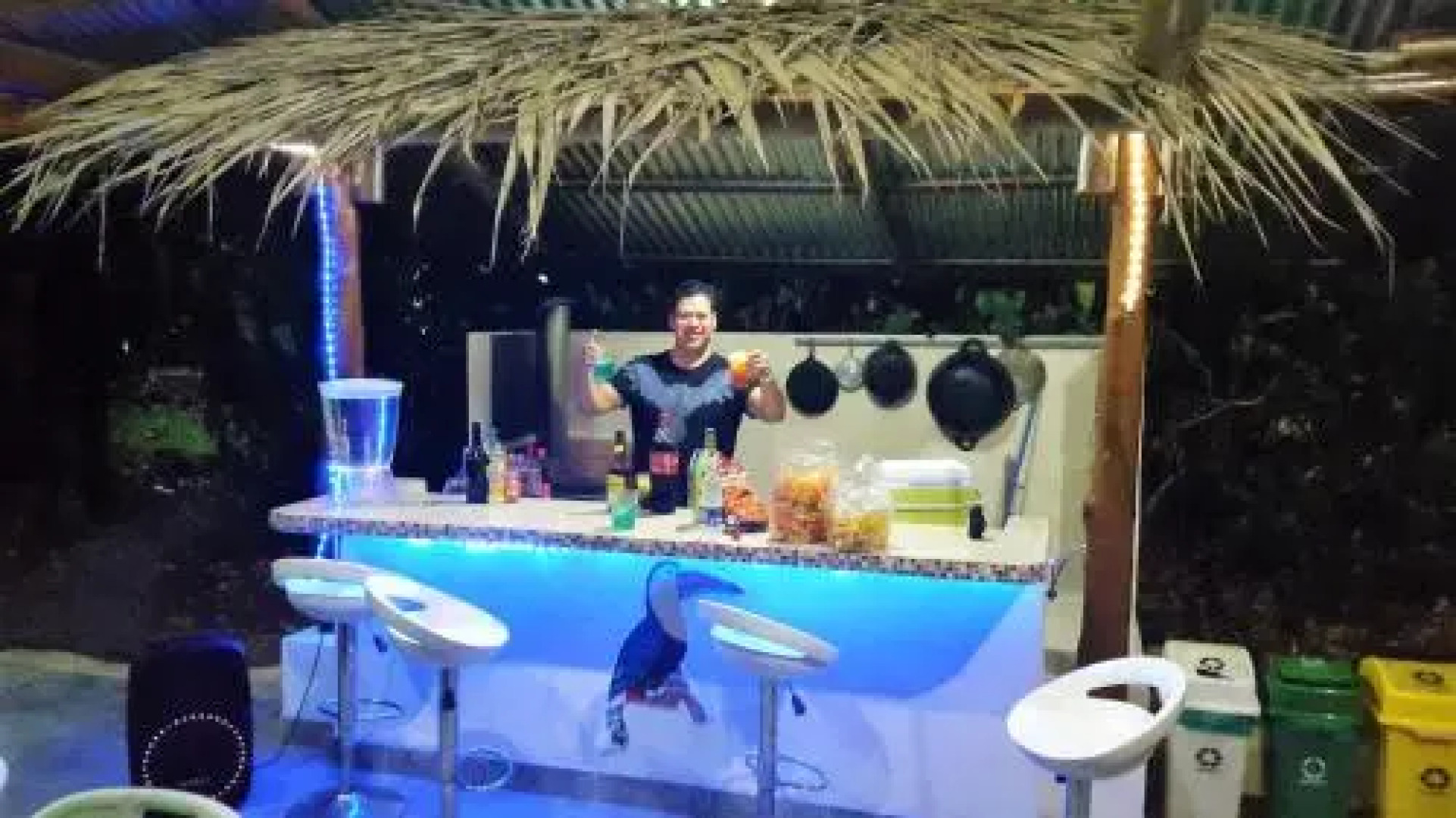 Tropical Paradise Bungalows