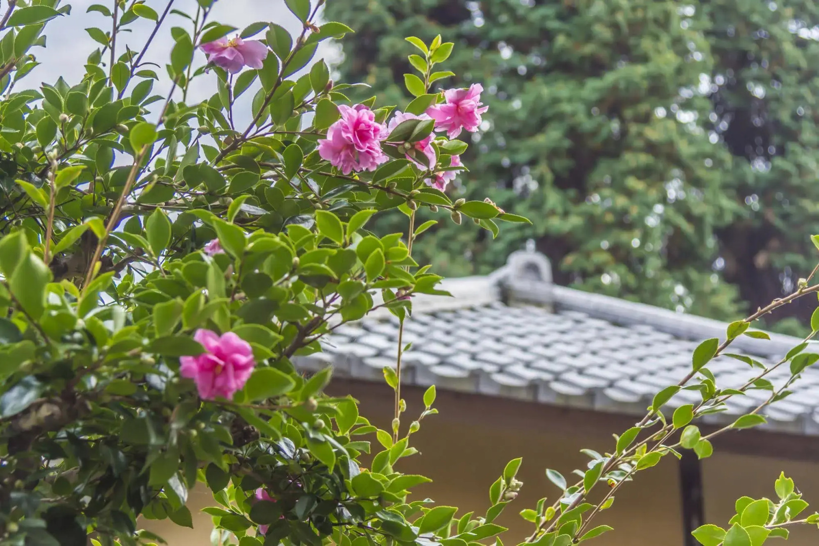 Utsunomiya Grand Hotel