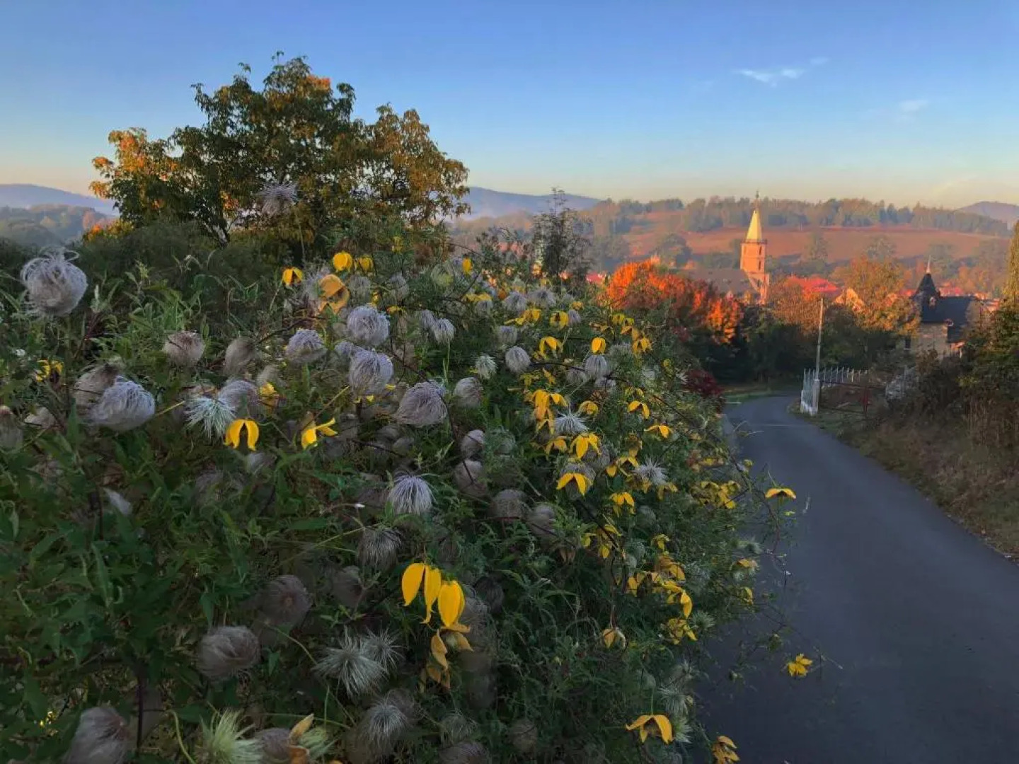 Villa Greta - Charm Of Tradition...