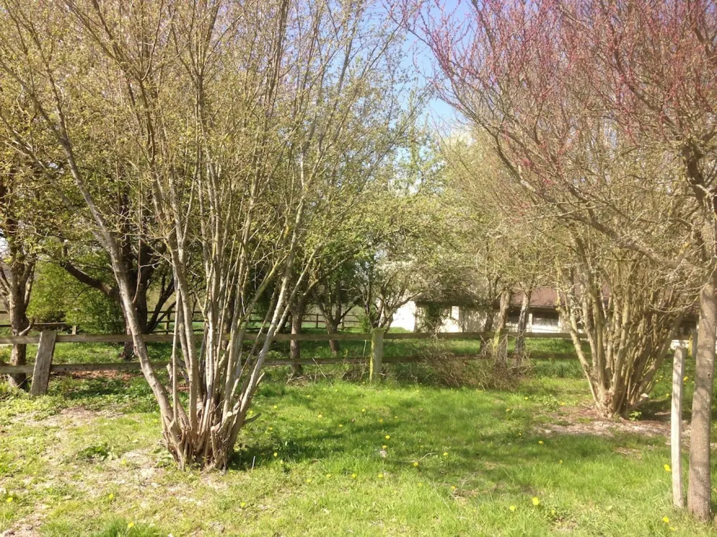 Le Belforest - Chambre Zen