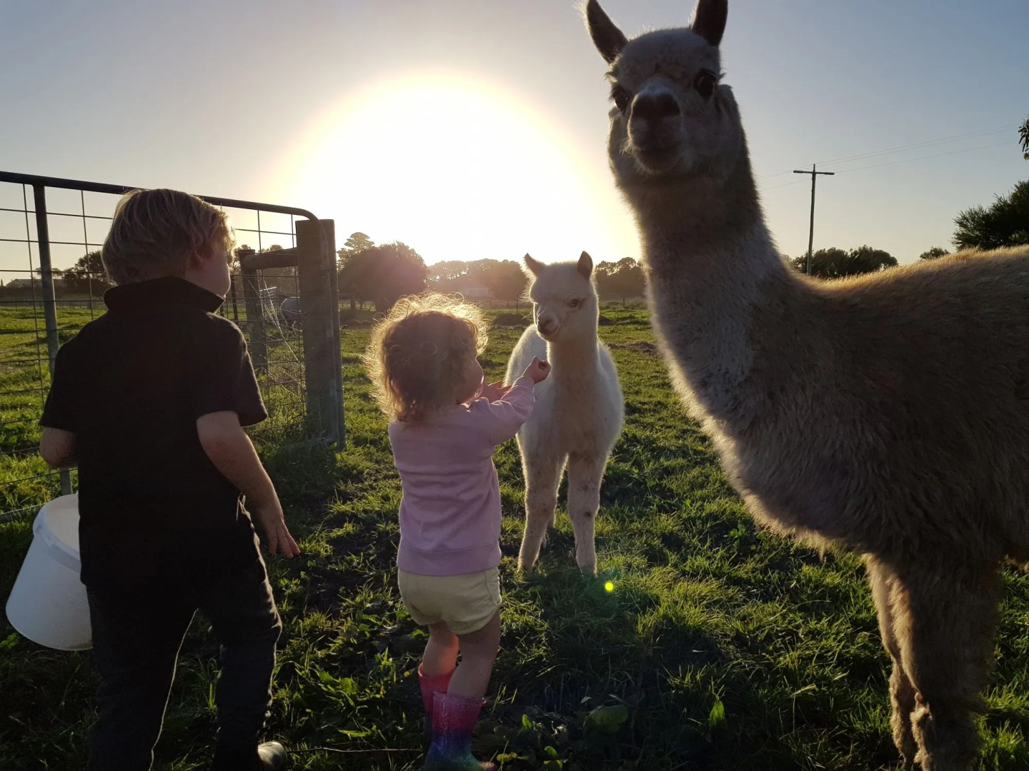 Clonmara Country House & Cottages