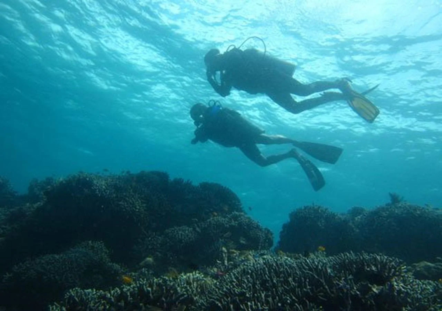 Dive Thru Scuba Resort