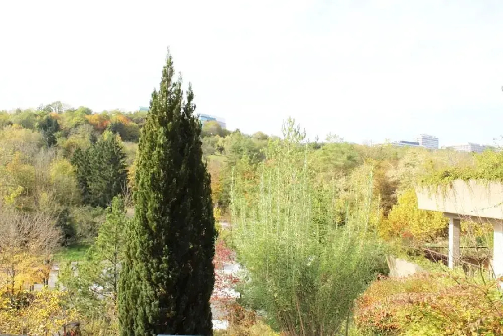 Kliniknahe 2-Zimmer Whg, große Terrasse im Grünen