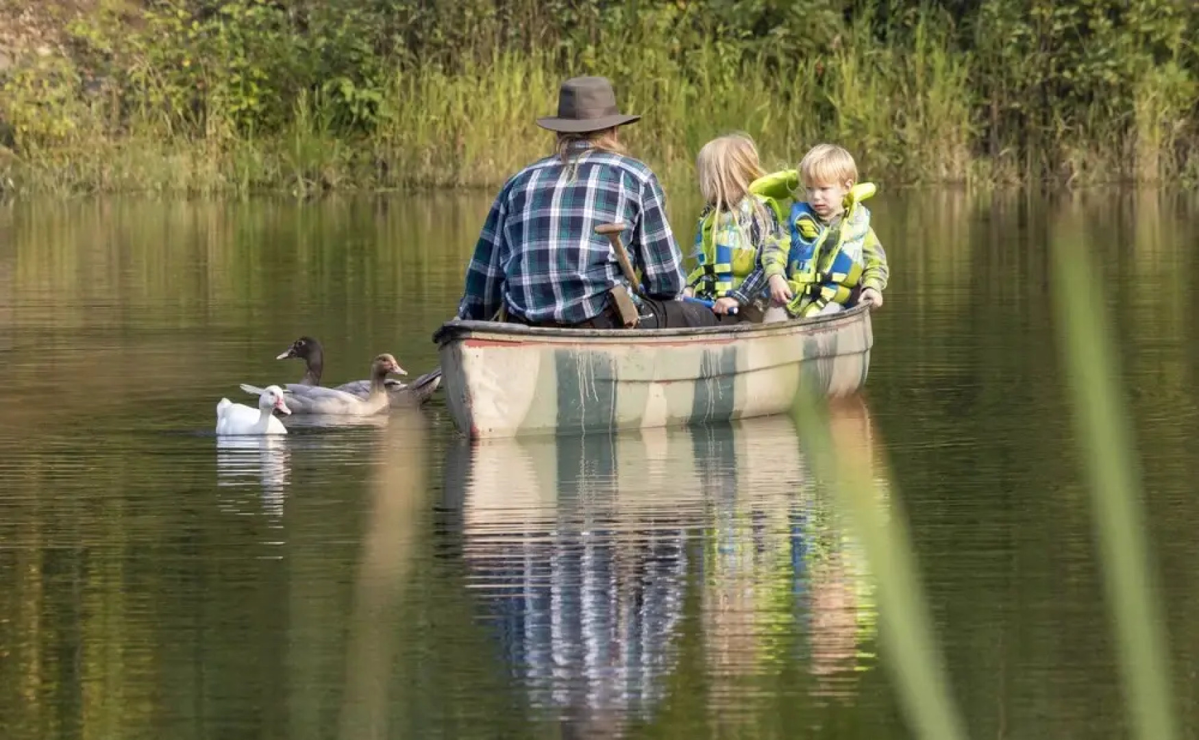 Wolfwood Guest Ranch