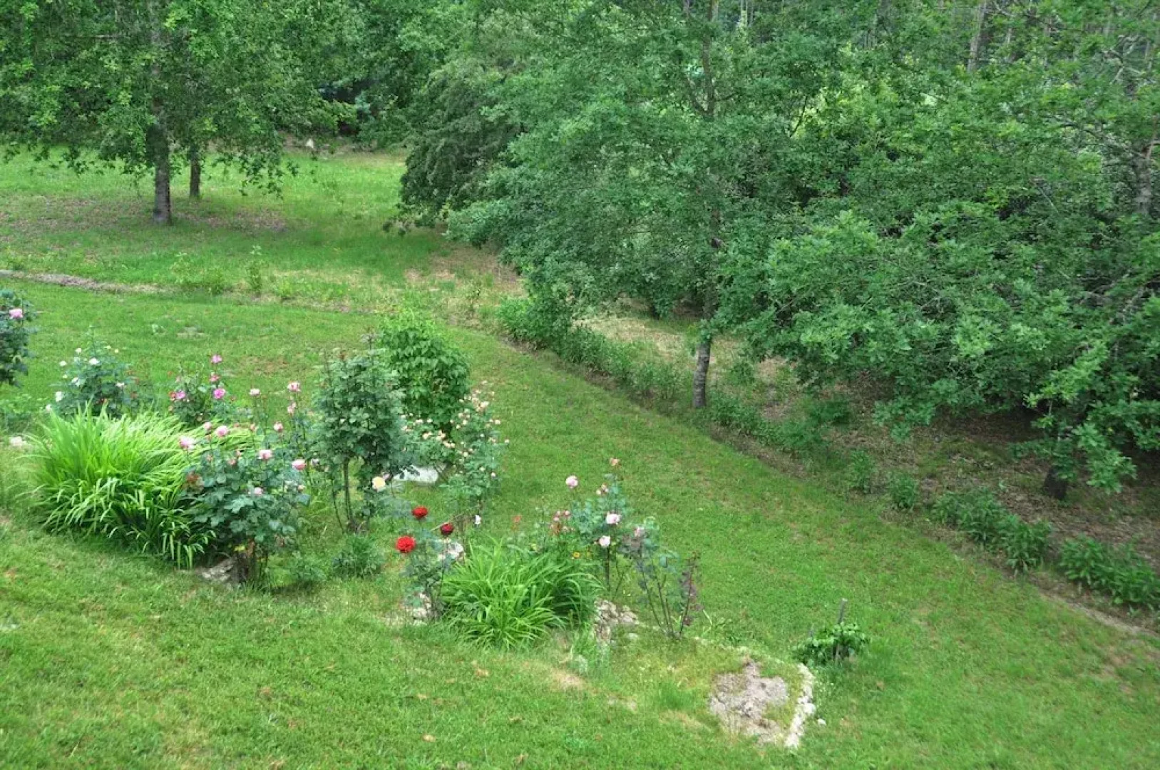 Room-paradise is Real at Vale Martinho Z