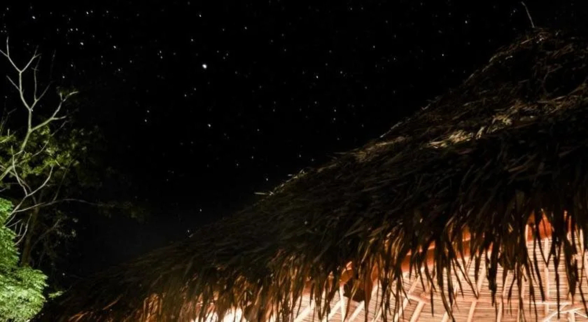 The Buena Vibra Collective