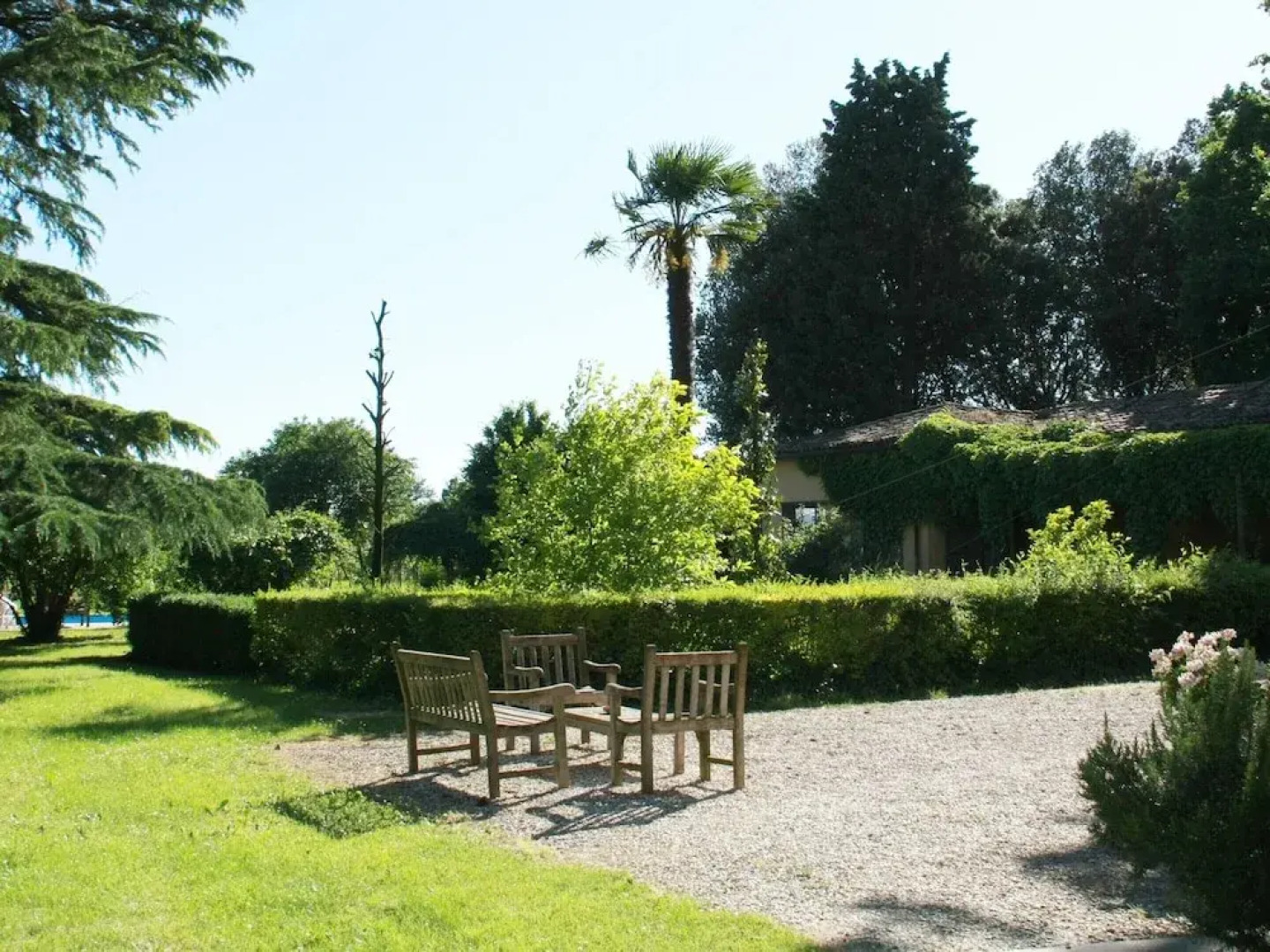 Furry Frinds With Family Home