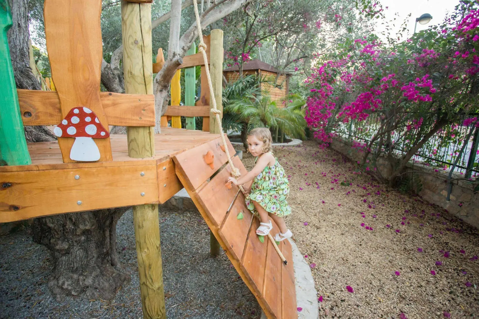 El Palmeral de Madaria