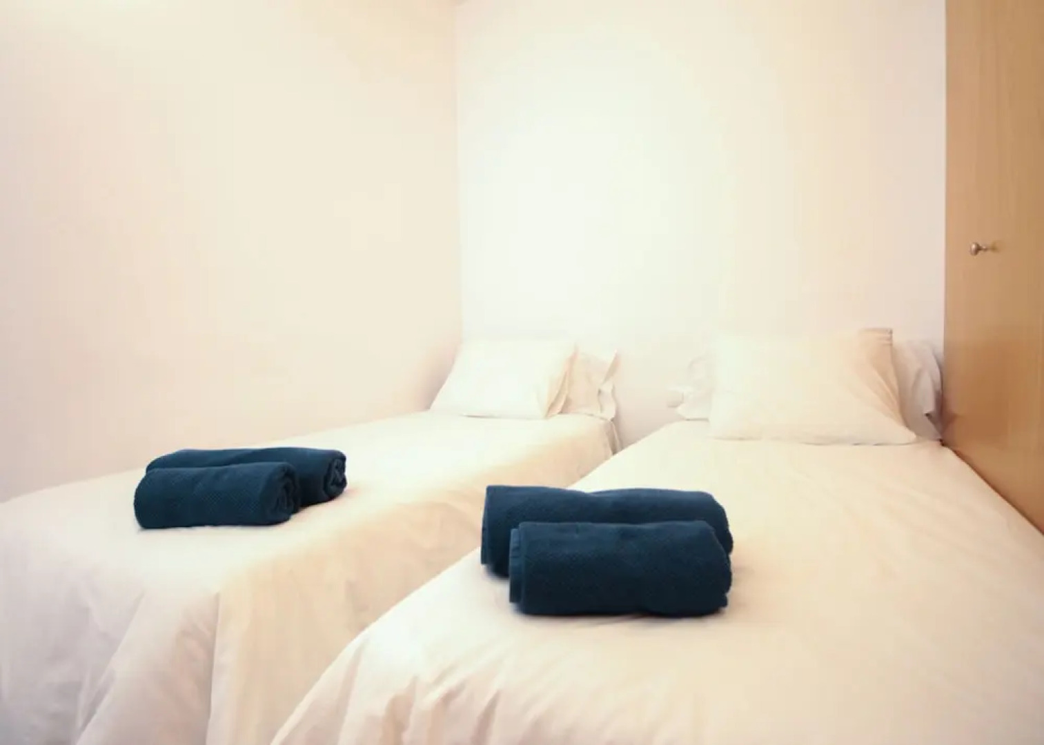 F03 Apartment with private rooftop