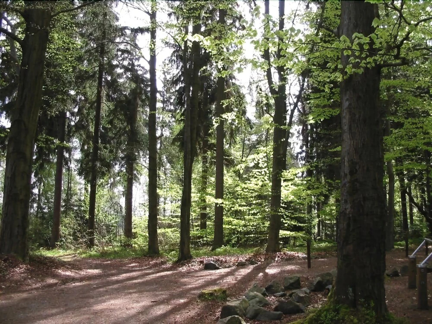 Flair Hotel Luginsland