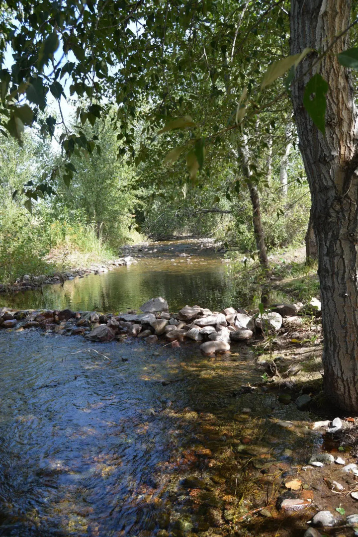 Holiday Inn Express Hotel & Suites Missoula by IHG