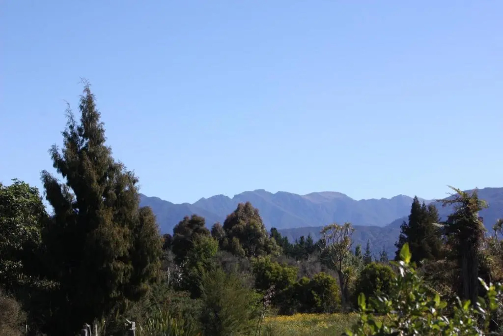 Summerspring Beachfront Accommodation