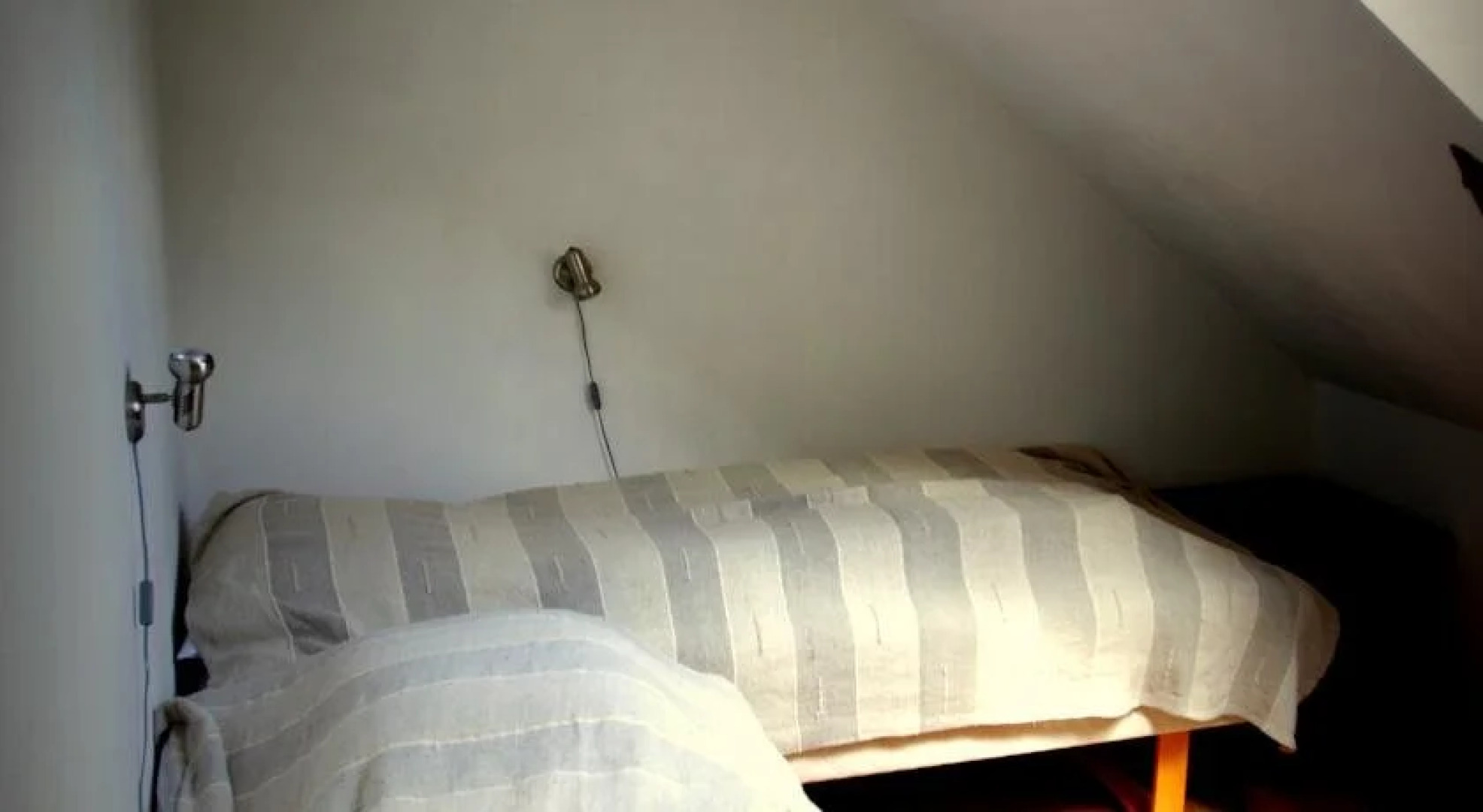 Stutteri Skandi Hest