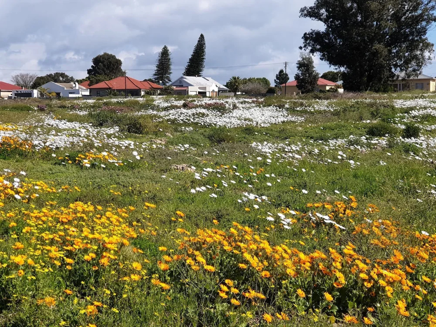 You Have Arrived Guesthouse