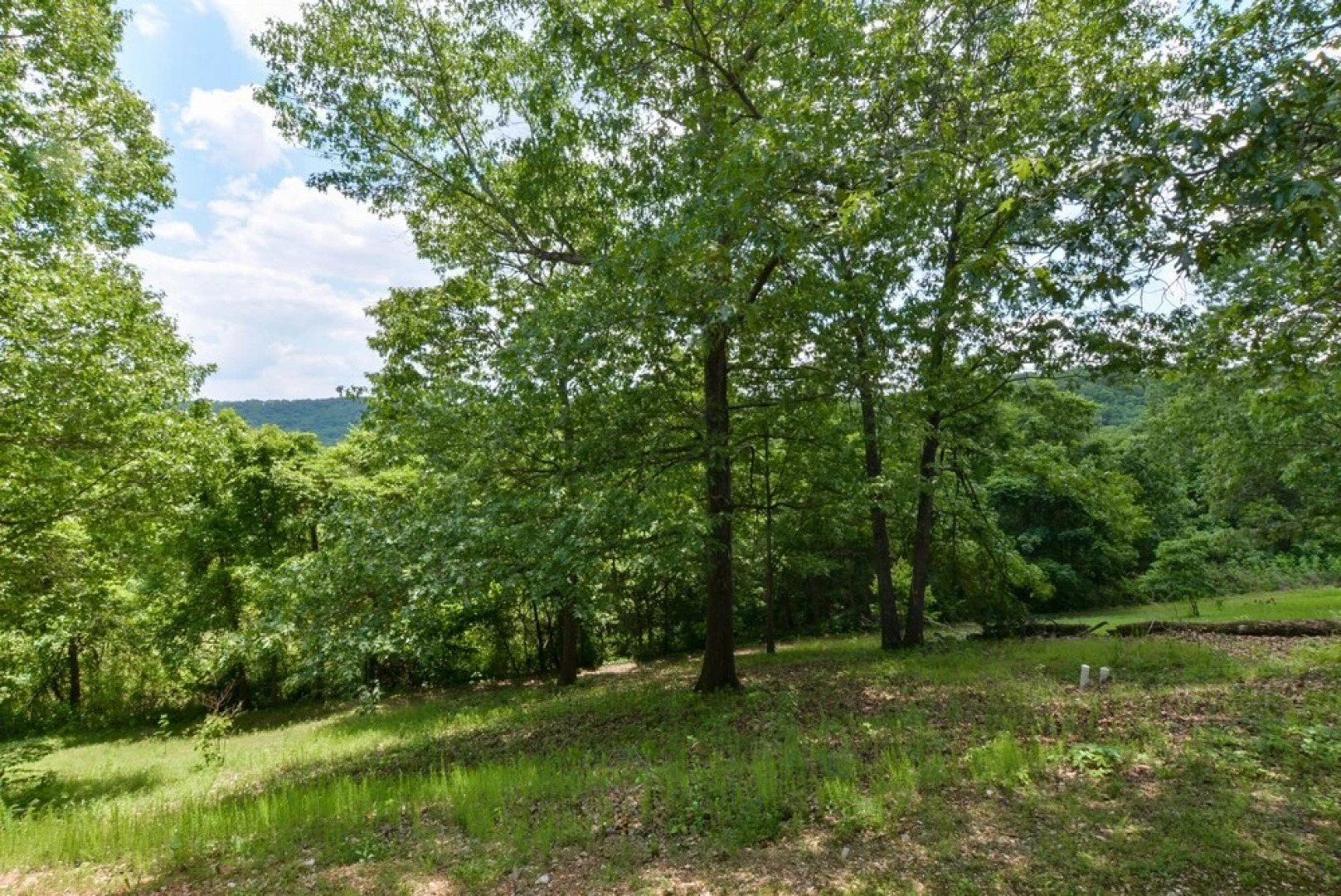 Hacienda Hideaway 4 Bedroom Condo