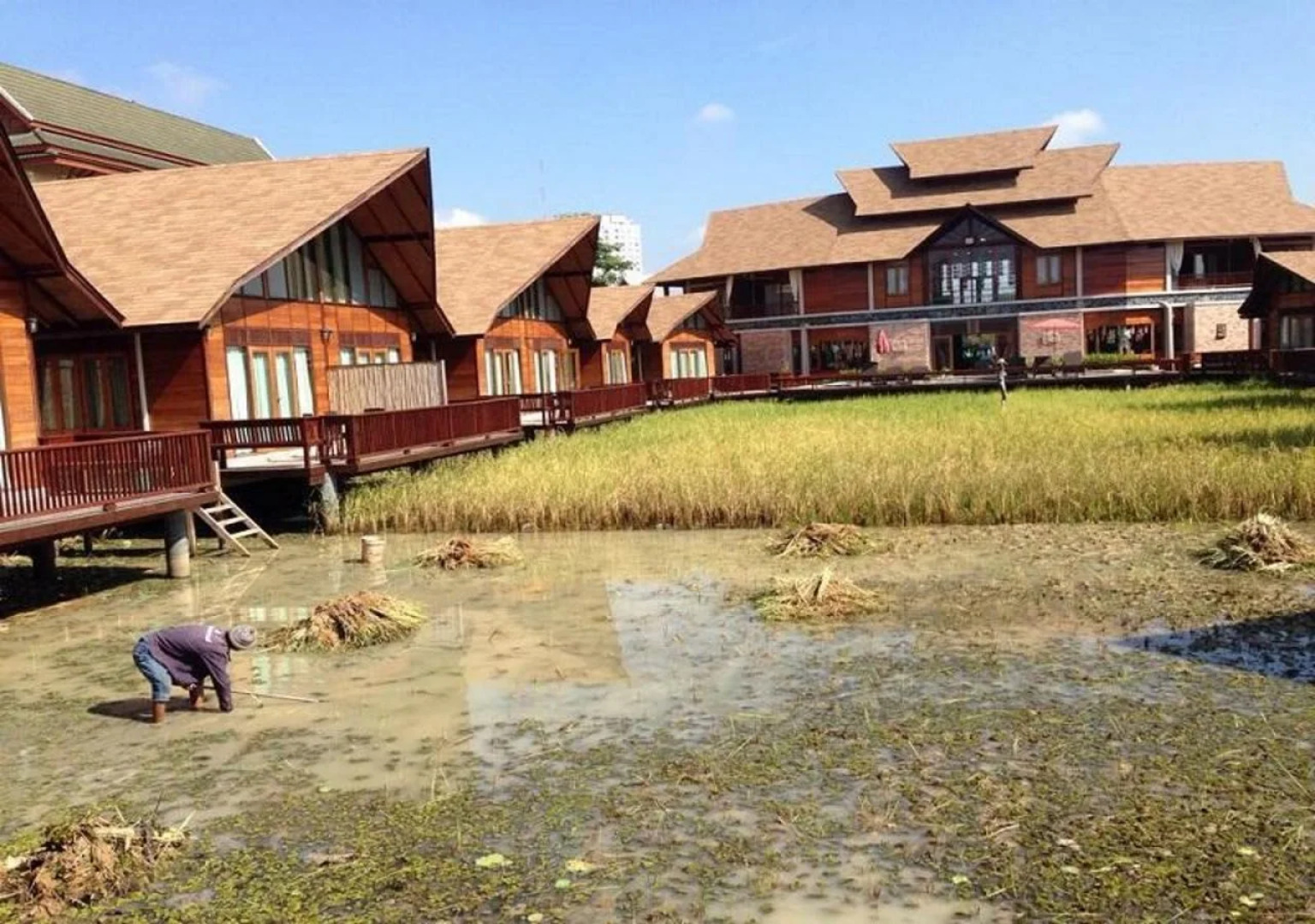 Rice Farm Villa