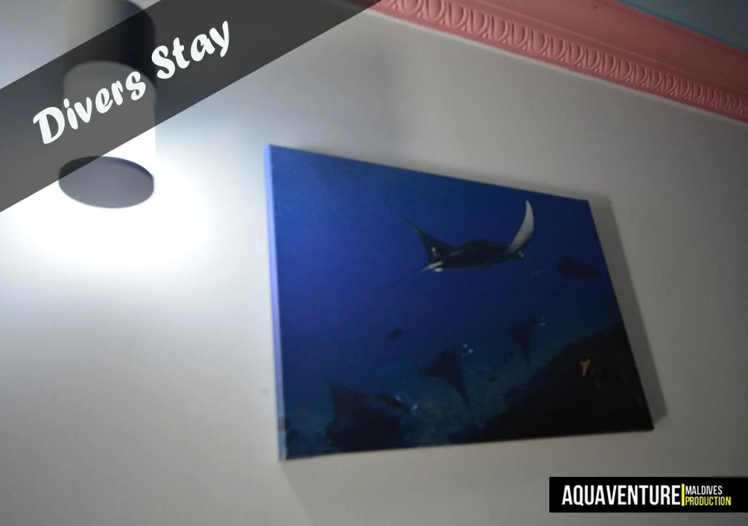 Aquaventure Manta Lodge - Scuba Divers