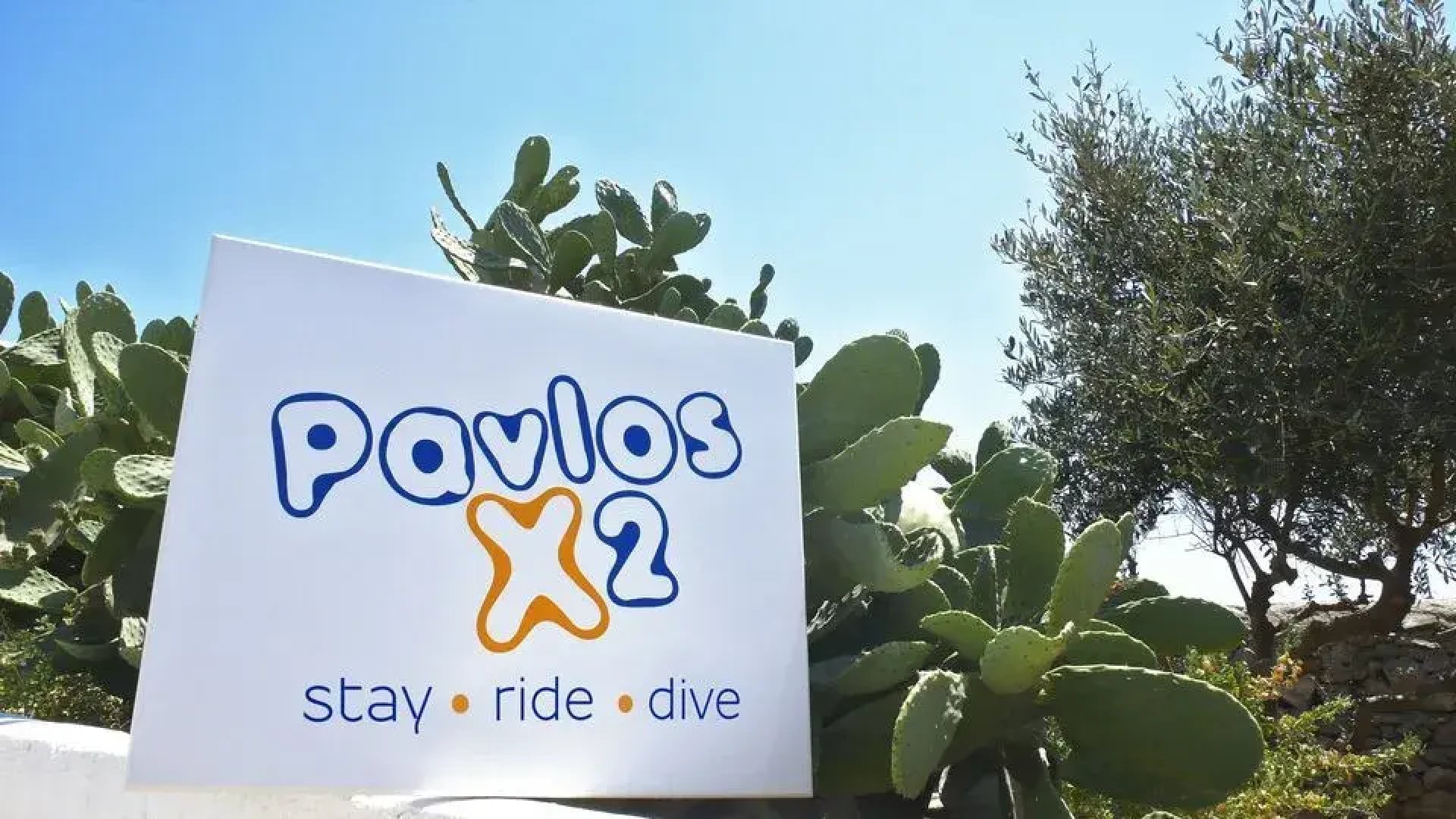 Pavlos X2