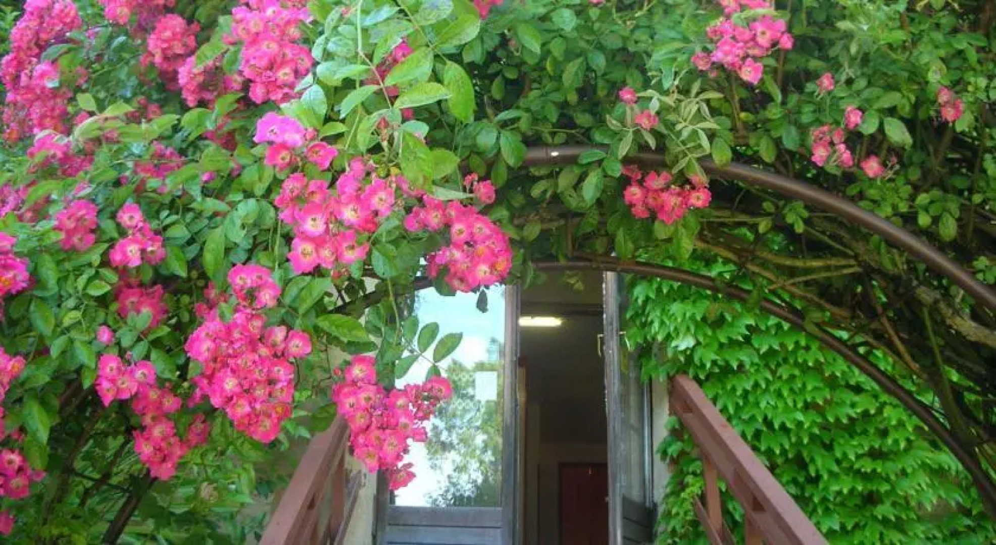 Hôtel Le Cheval Gris