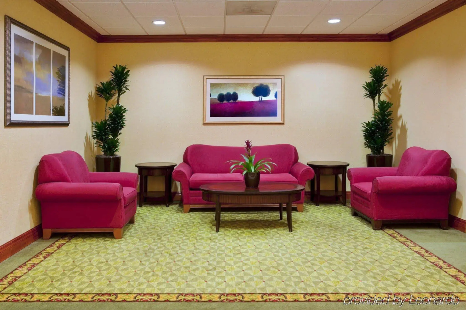 Holiday Inn Express St. Petersburg North (I-275) by IHG