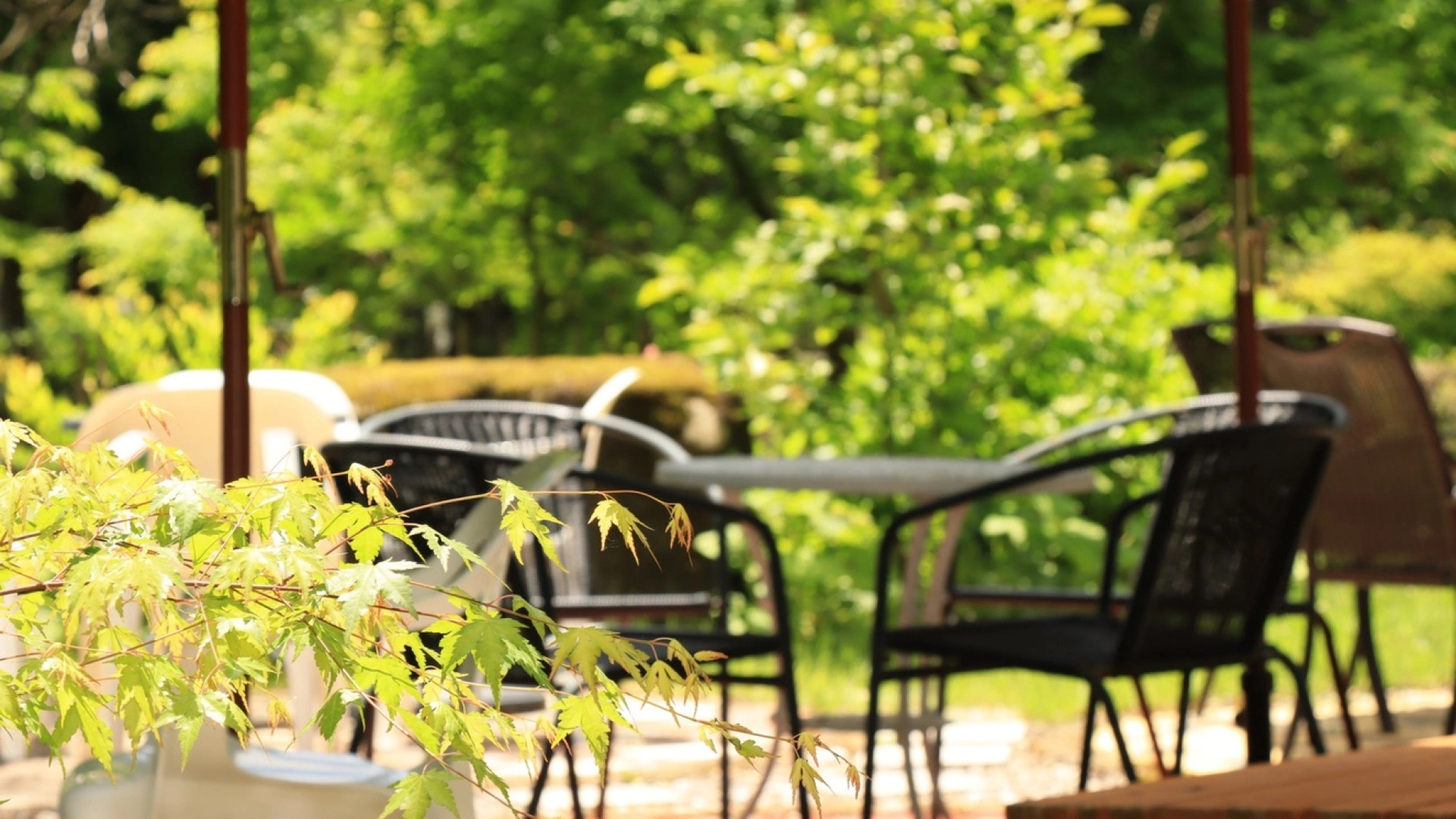 Guestroom Garden Azumino