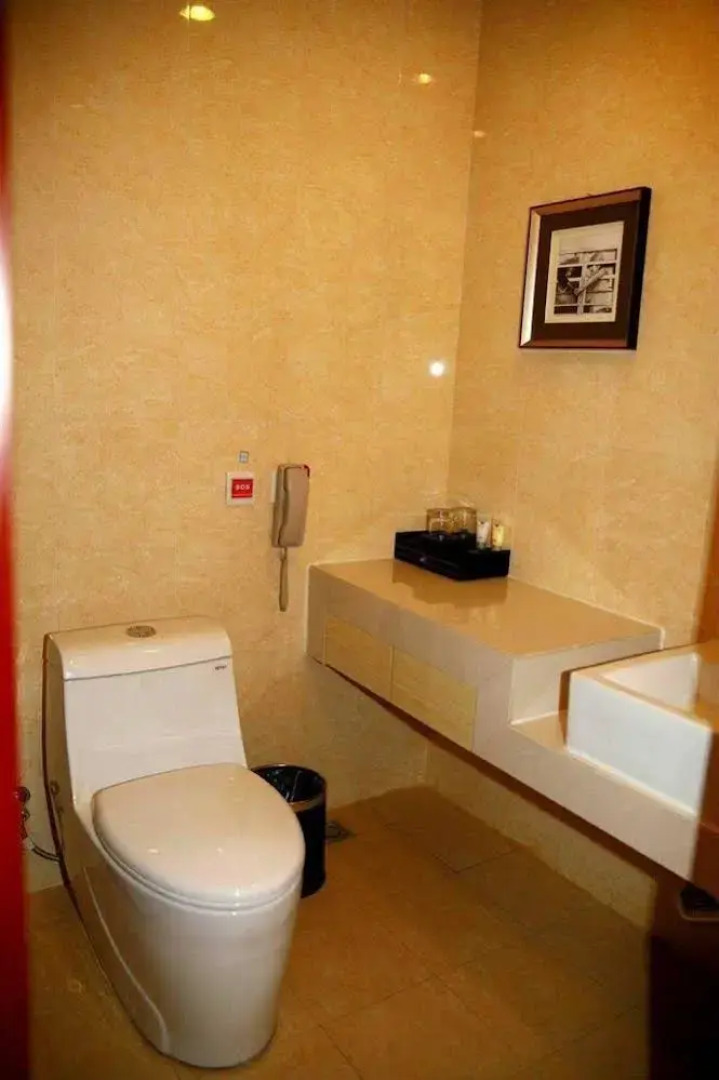 Xingtai Xinjinshan Hotel