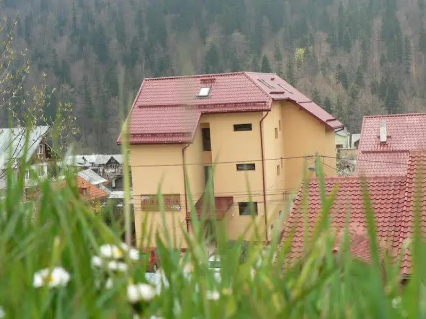 Pension Flora Alpina