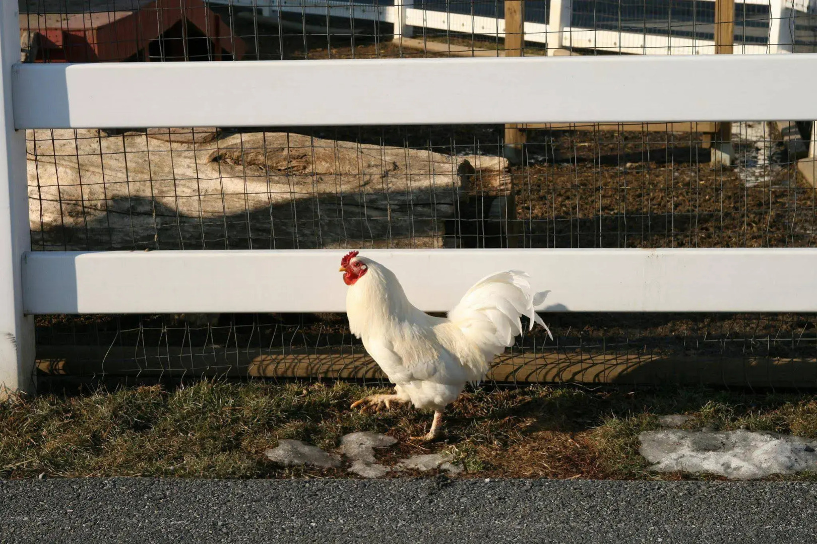 Hampton Inn & Suites Ephrata - Mountain Springs