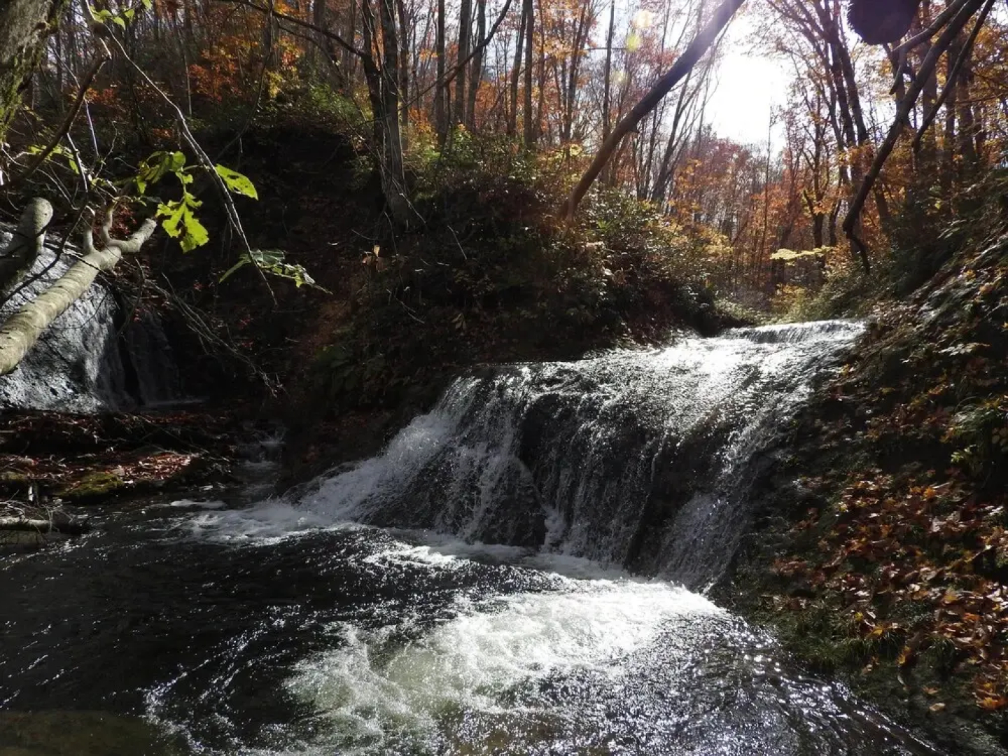 Mori no Bunko Fuzawa