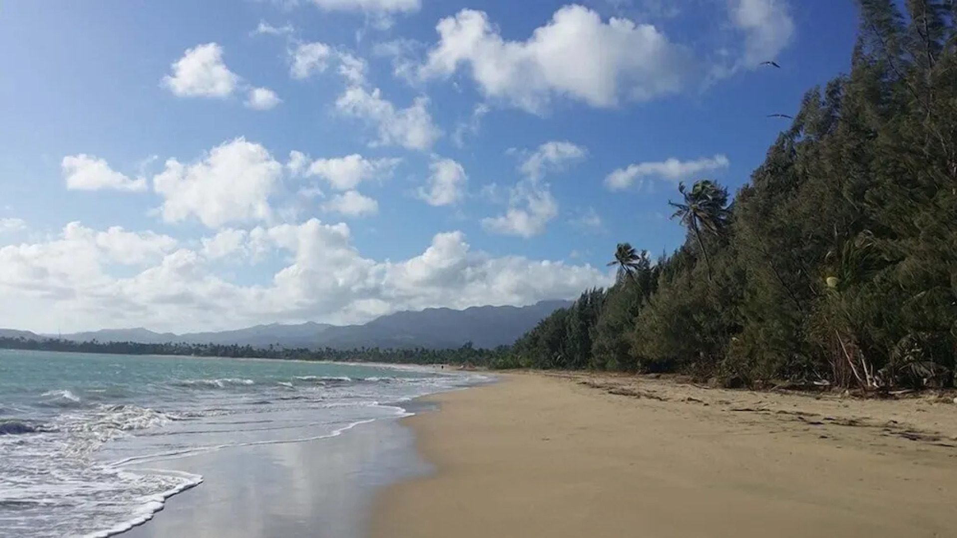 5 Star Caribbean Villa