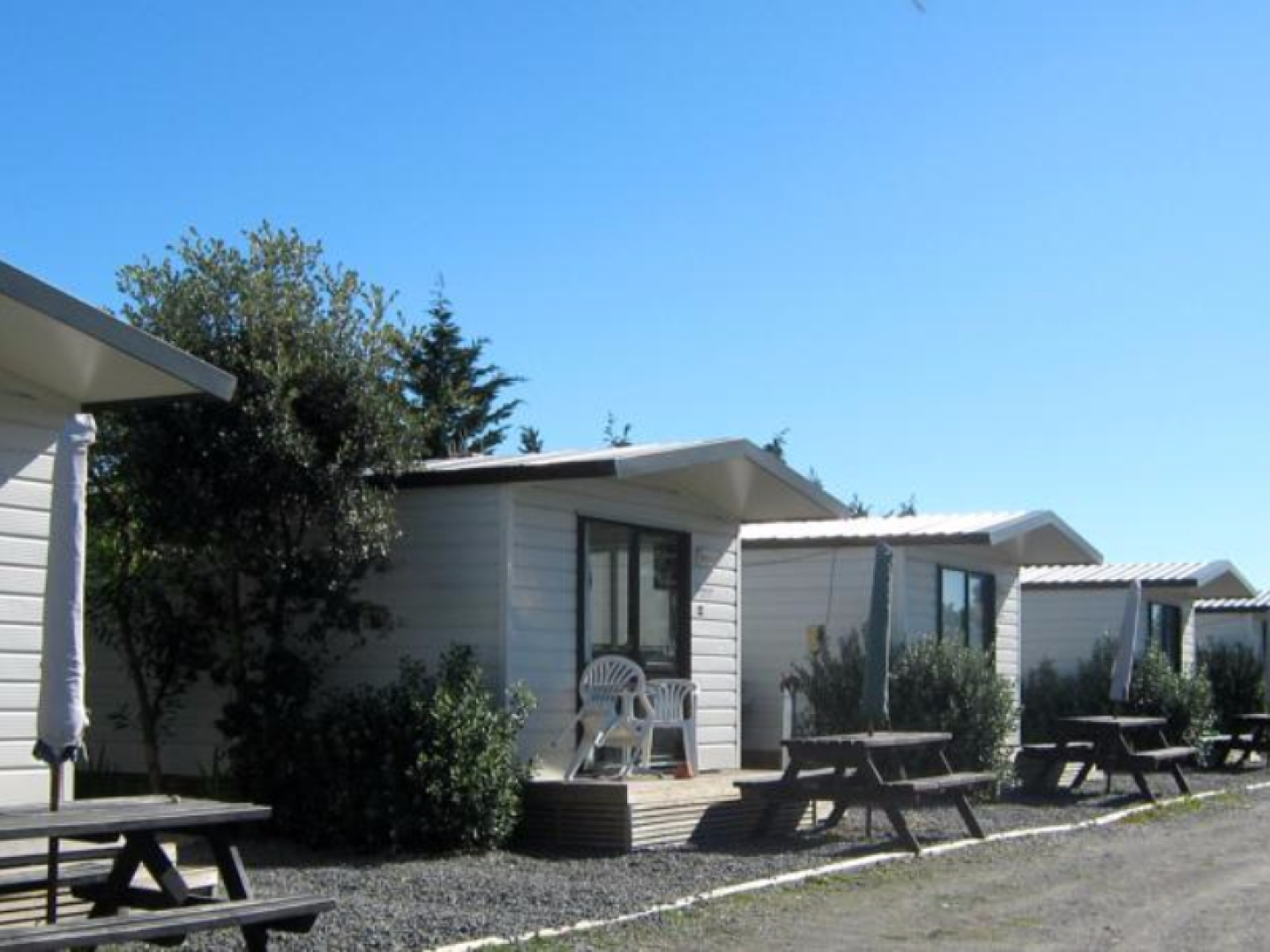 Napier Beach Front Motel