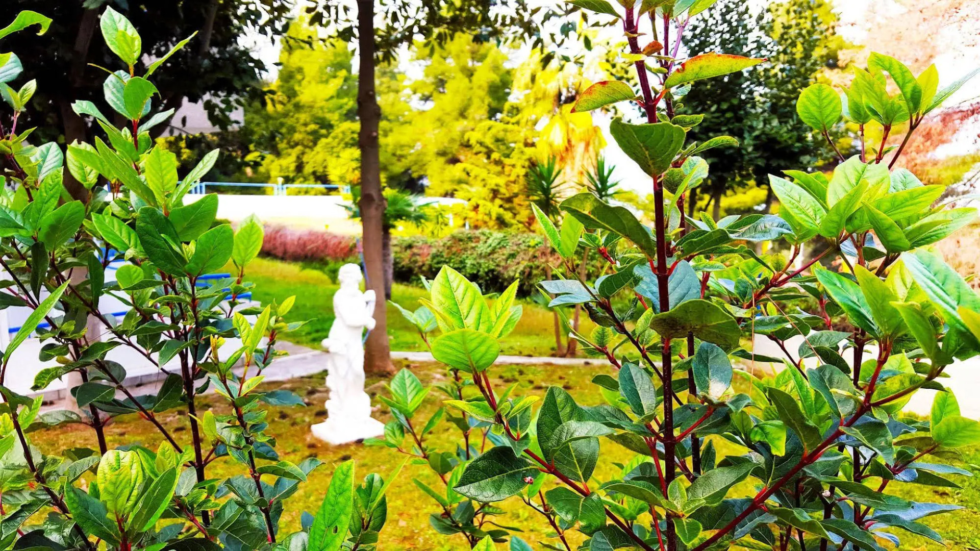 Roditsa Patritsia Apartments