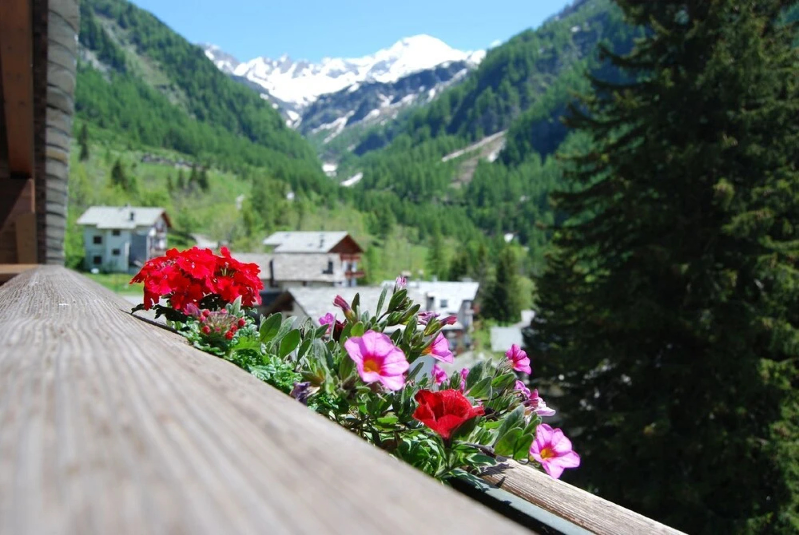 Residence Larice Bianco