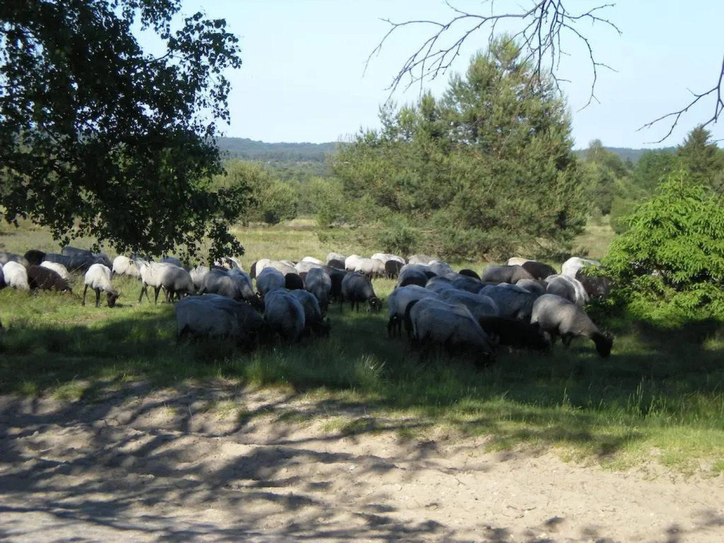 Helle Ferienwohnung im Roten Feld