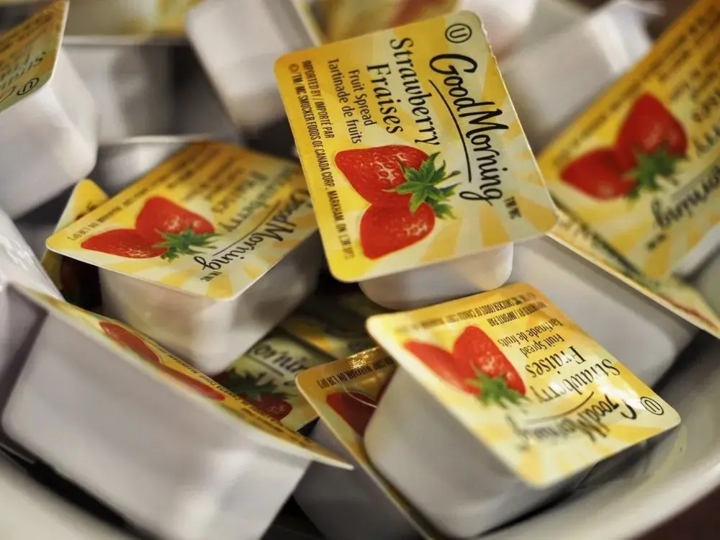 Hotel & Suites Les Laurentides Saint Sauveur