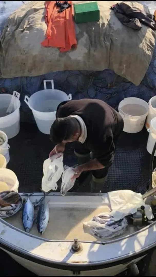 Rosy Monolocale nel Centro Storico di Torre Annunziata di Fronte Scavi Oplonti