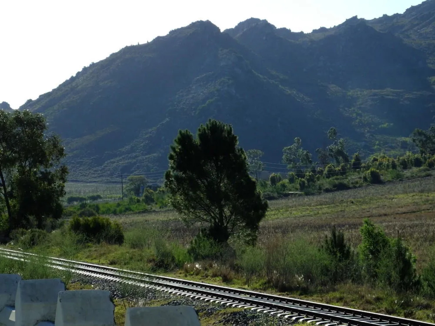 Goodings Groves Olive Farm