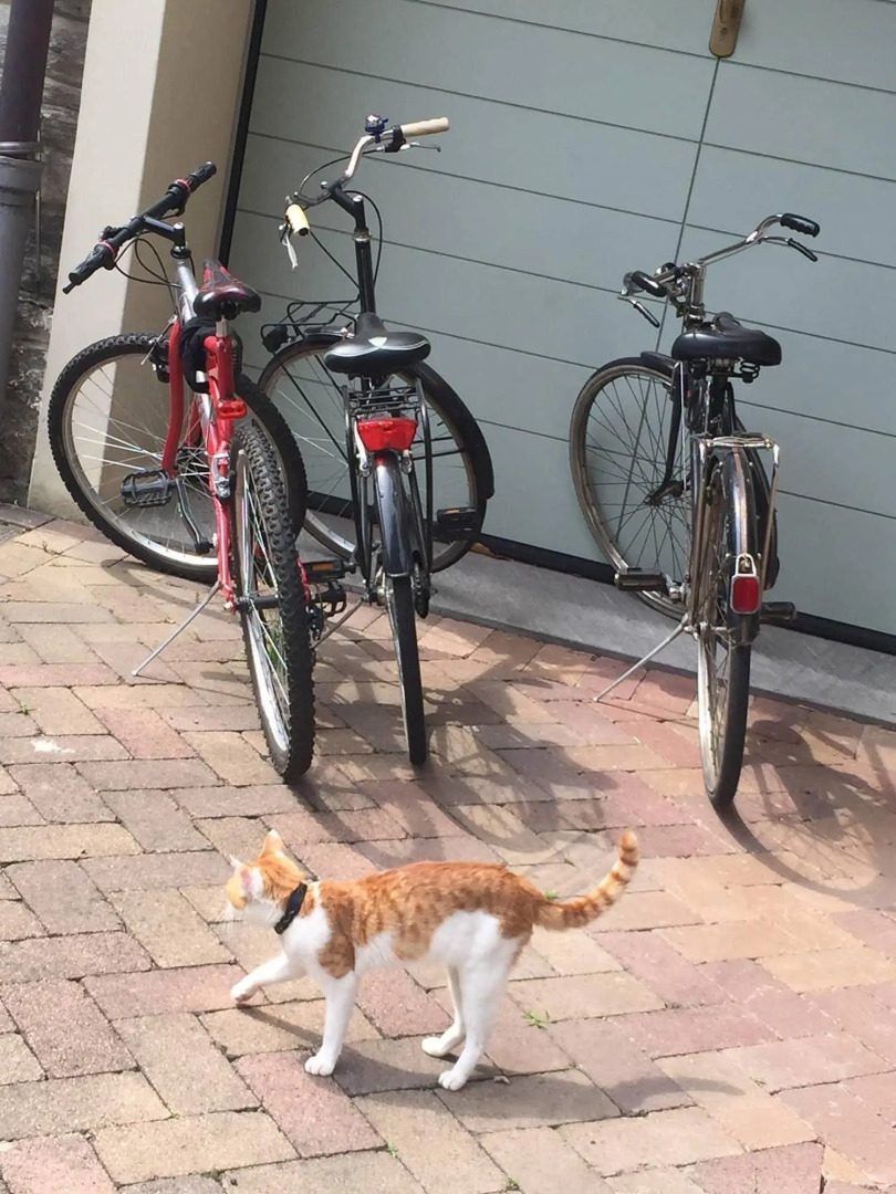 Carducci 24 Bed & Breakfast