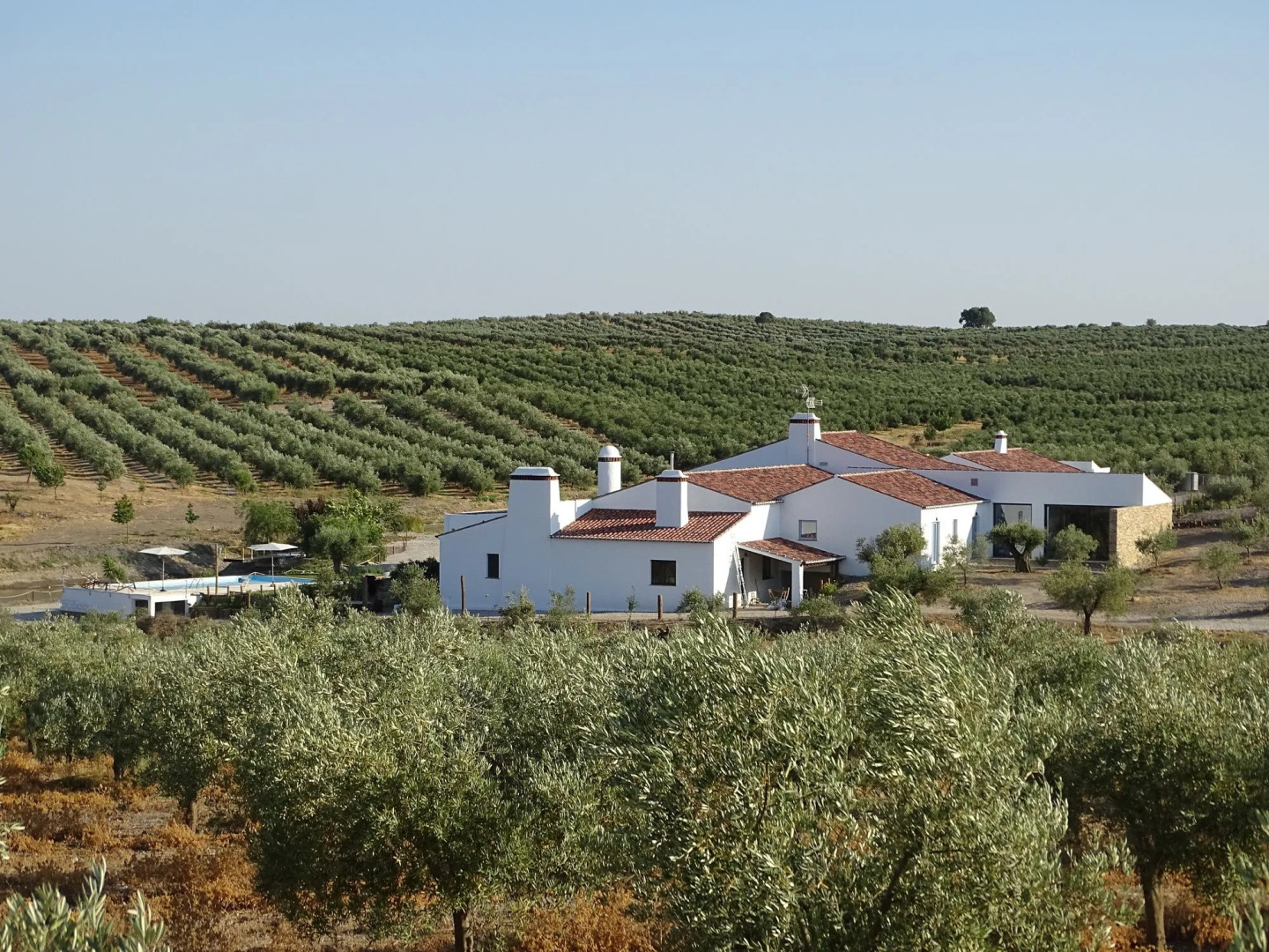 Monte da Estrela Country House & SPA