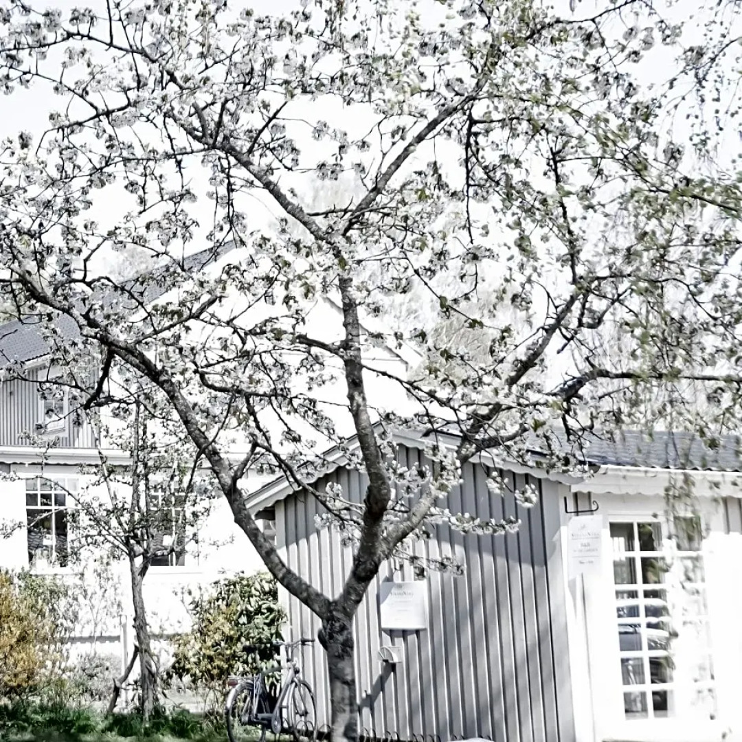 Strandnära Hostel Bed and Breakfast