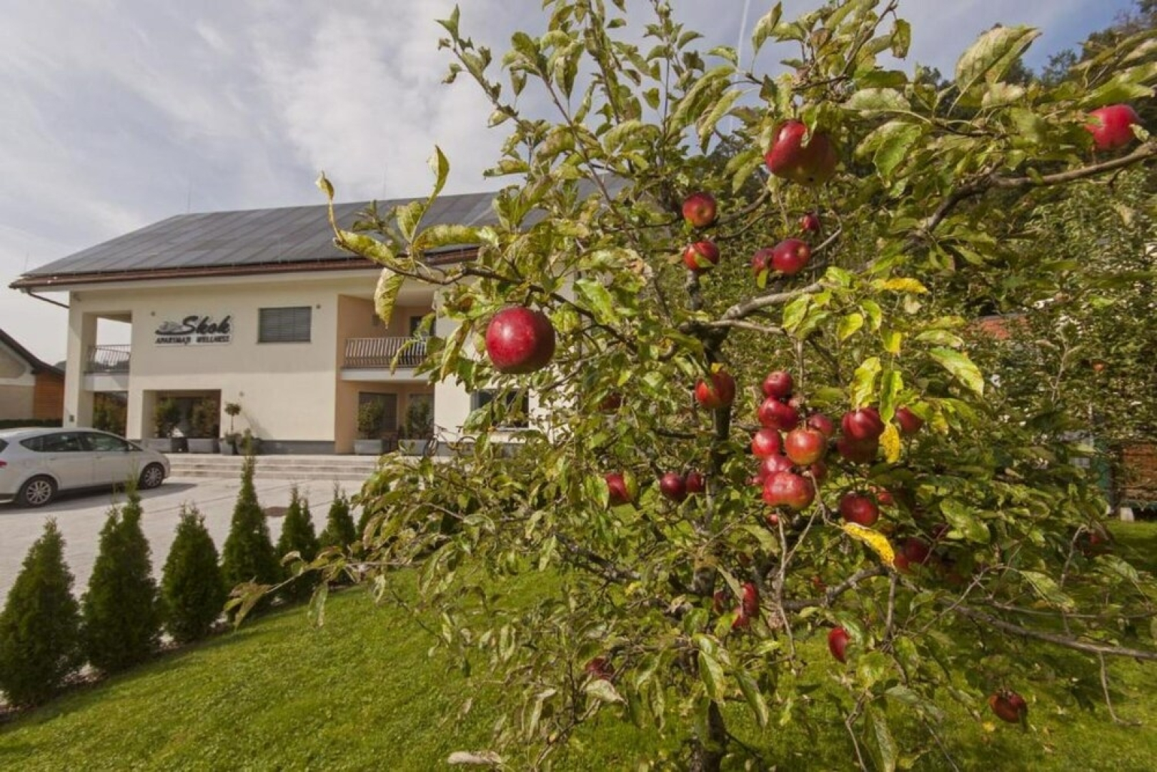 Wellness Suite Orchid