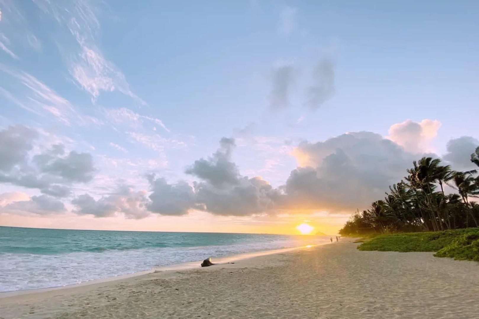 Hale Oahu Cottage by Avantstay Stunning Beachfront Estate!