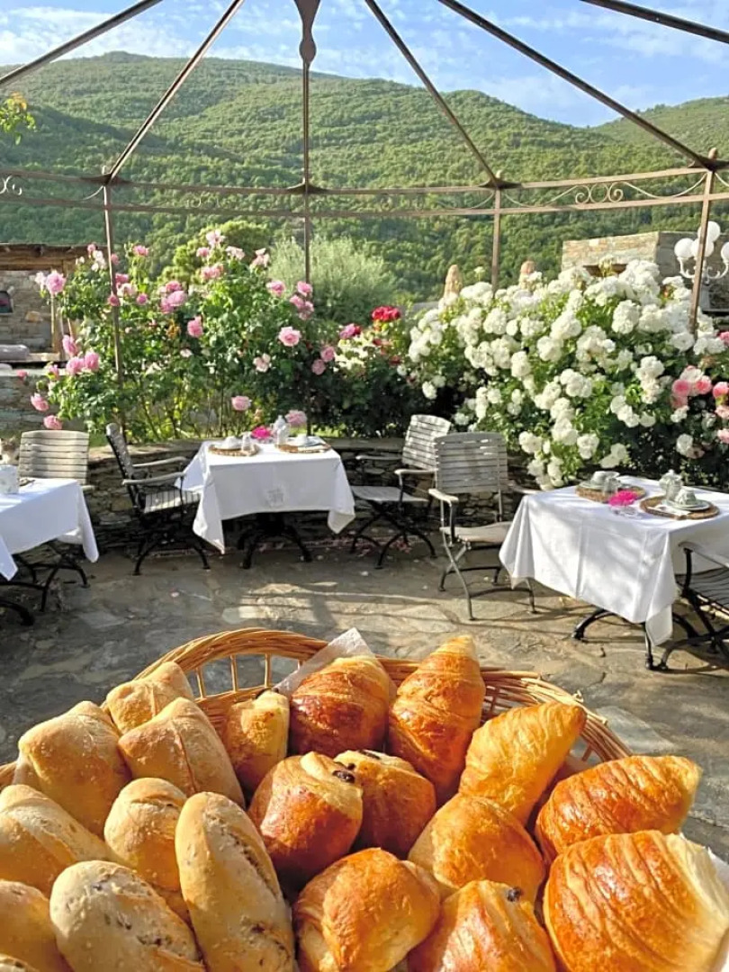 Chambres D'hotes Et Studios de Charme - a Mandria (Adults Only)