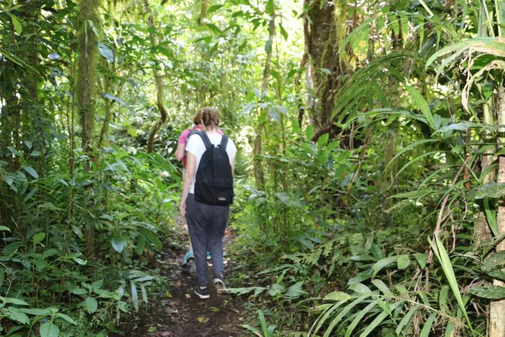 Shanti Natural Panorama View Hotel
