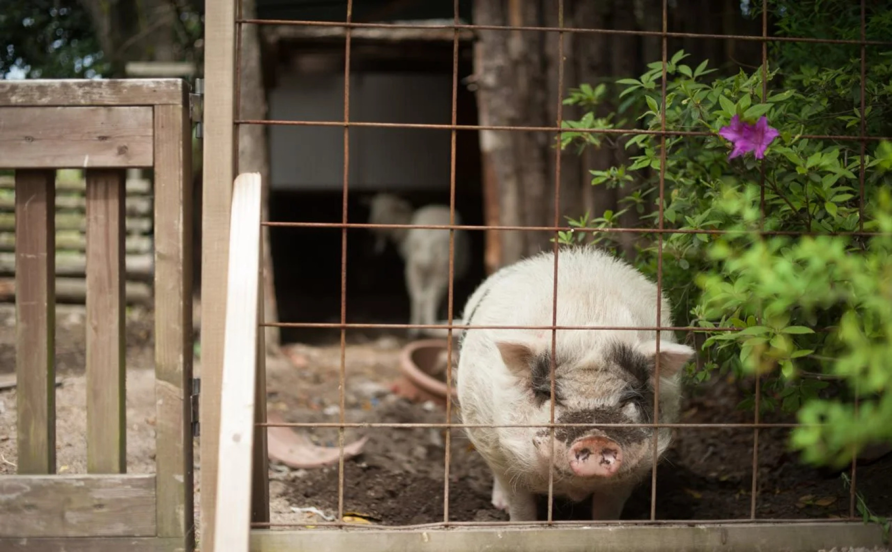 Secret Base Tokinokakera 1st