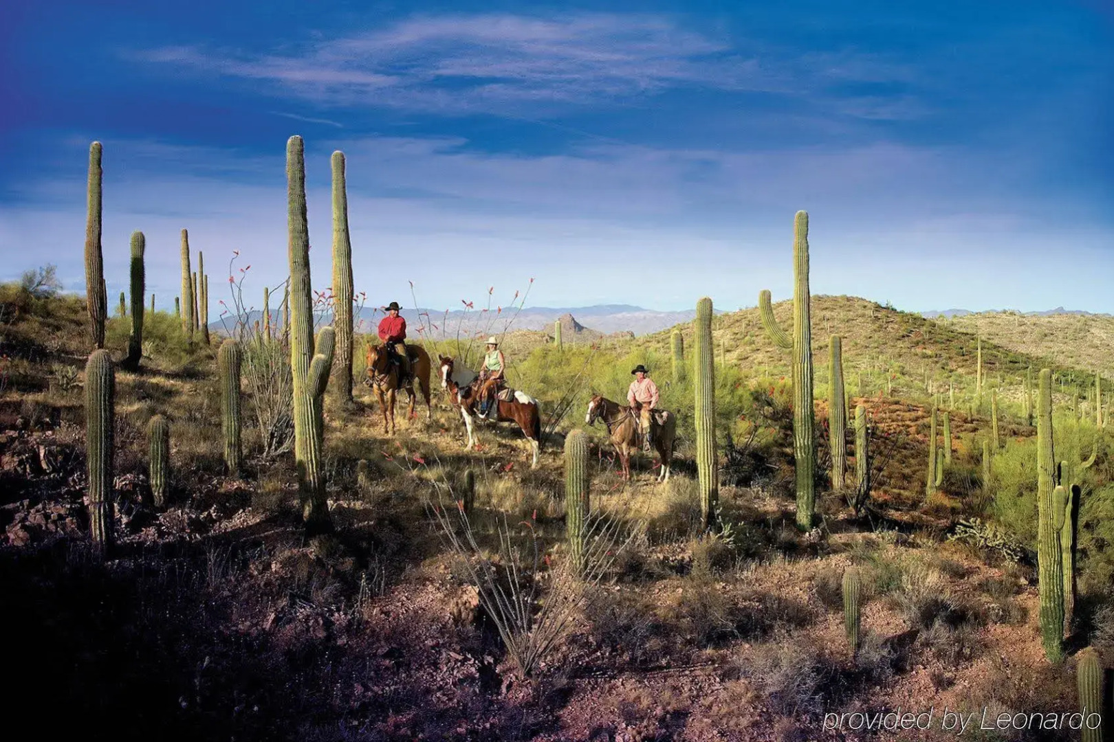 Rancho de los Caballeros