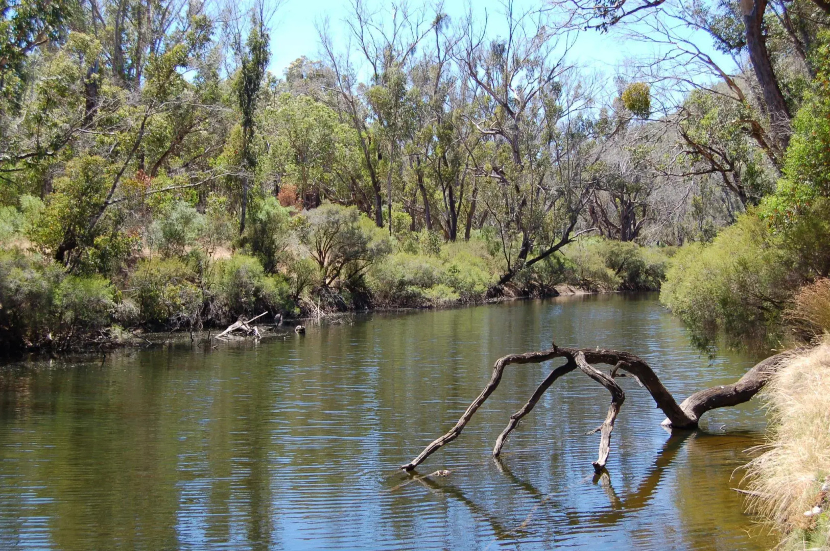 Beyonderup Falls Adult Retreat