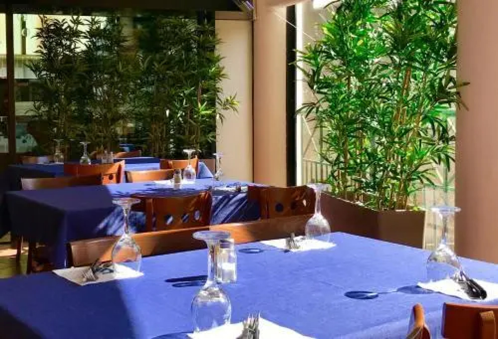 Residence Cote Sud Bandol